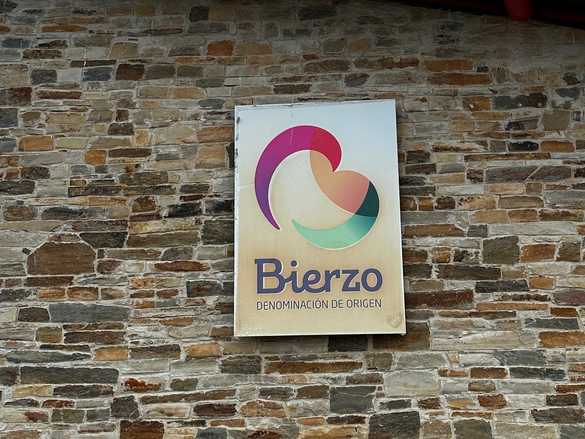 Exploring the Fascinating World of DO Bierzo Wines