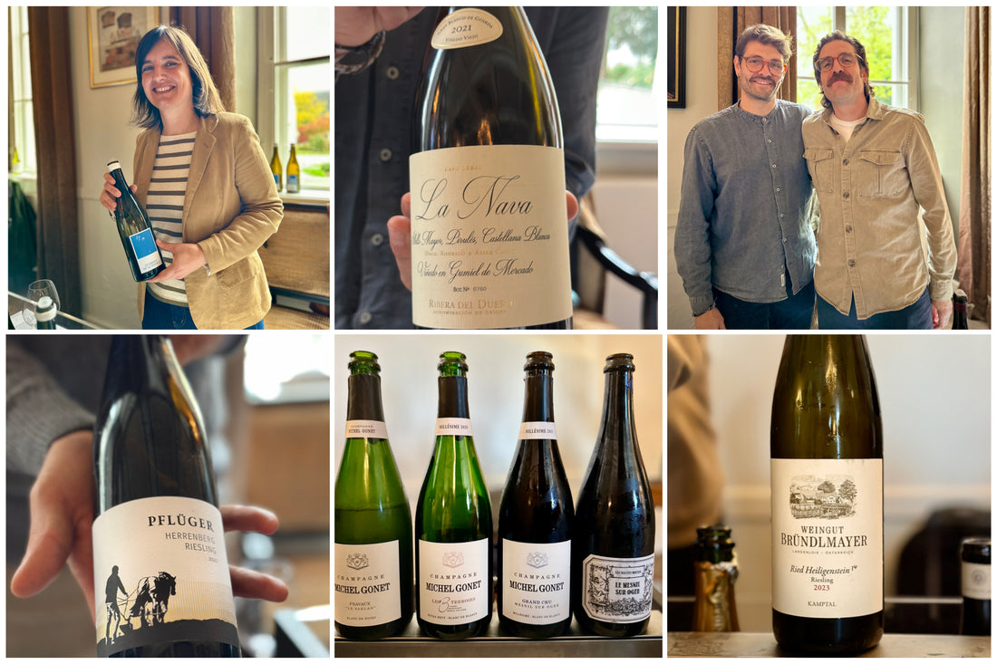 Terroir in Translation: Portfolio Tasting with Anfors & Smaragd