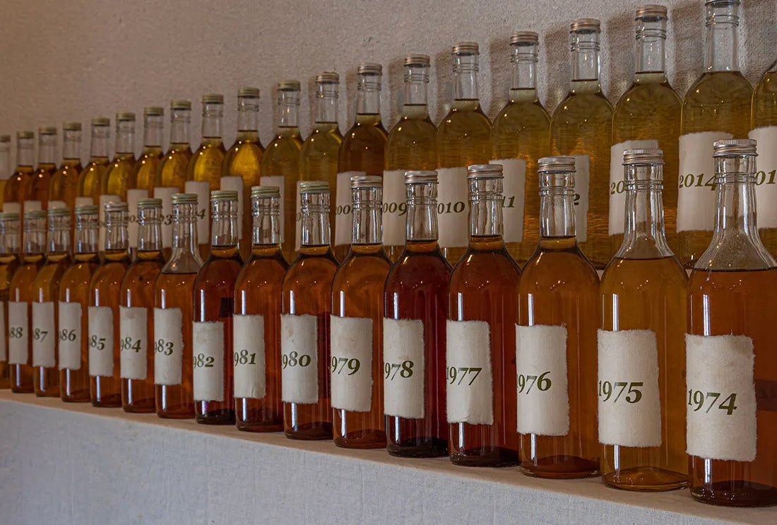 Sake Interview #15: Kidoizumi Shuzo