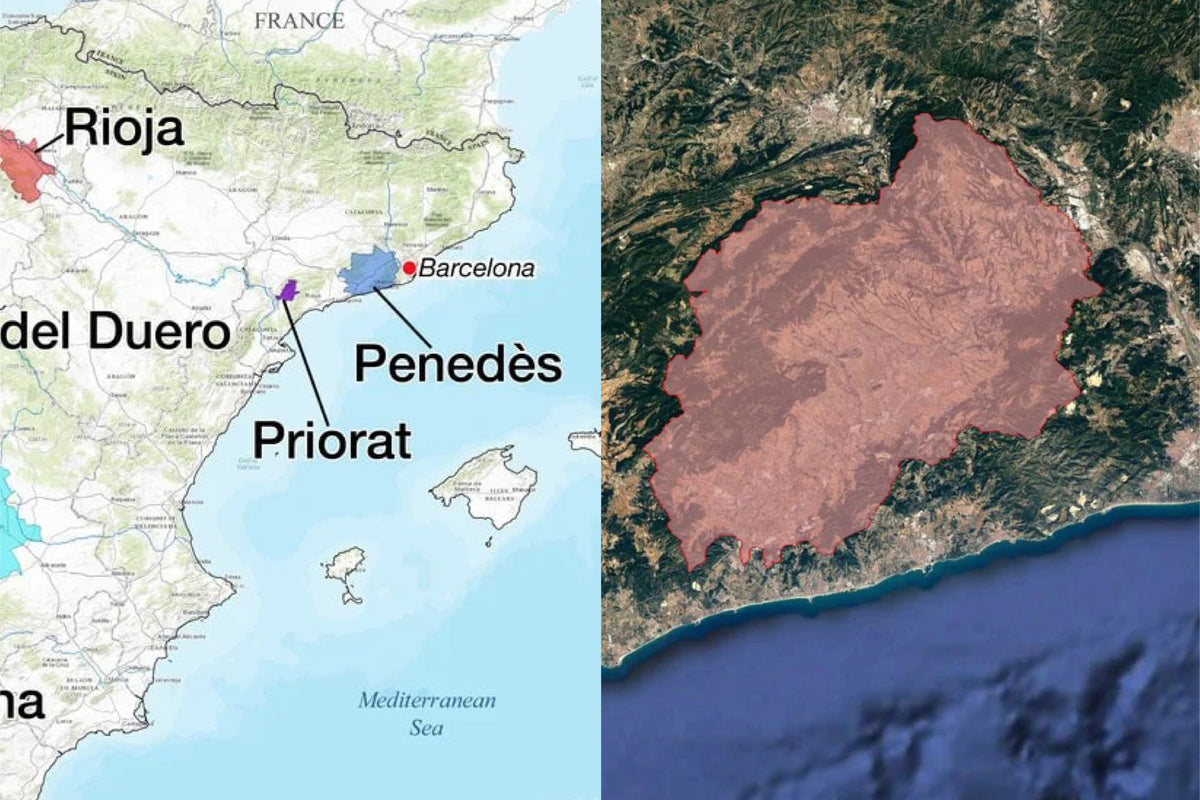 “What Is Corpinnat? Spain’s Rising Sparkling Wine + 6 Top Producers to Know”